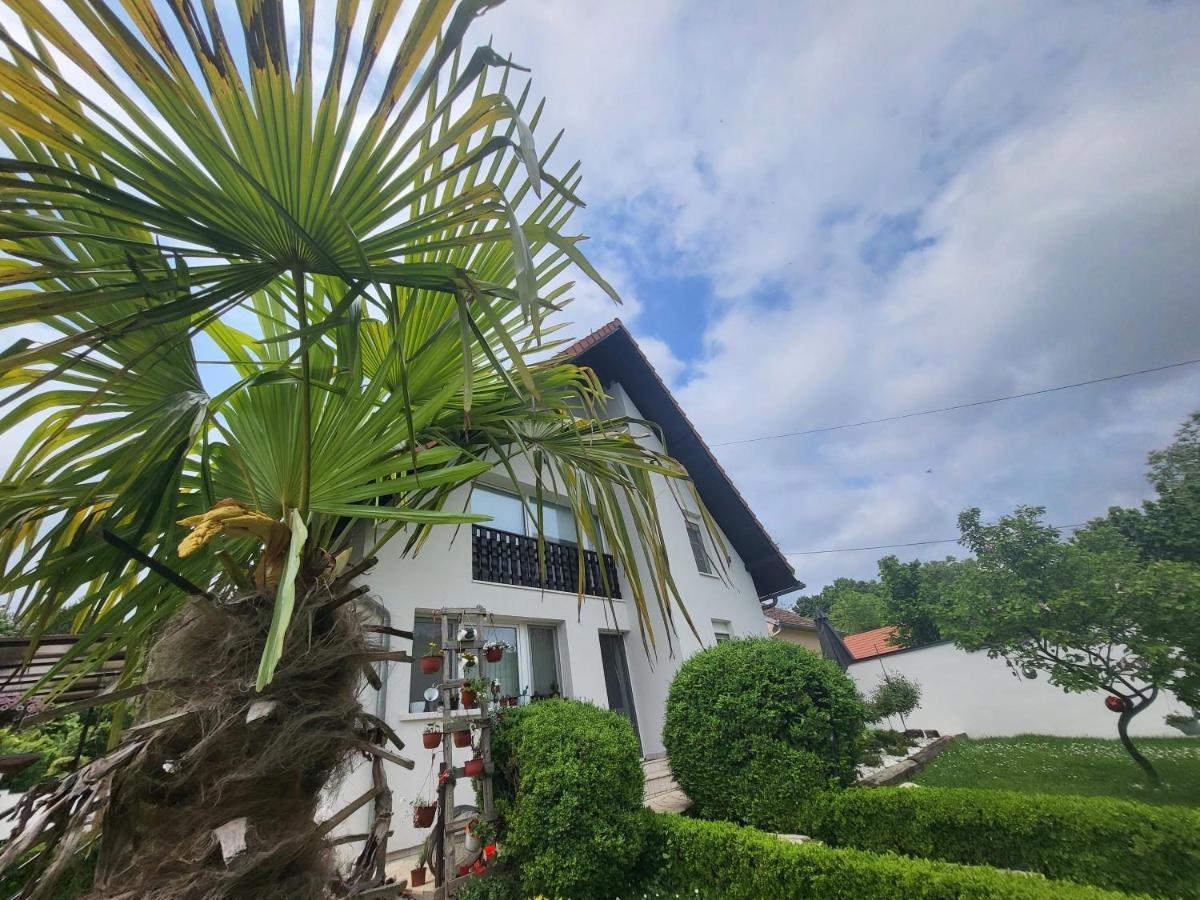 Vila Jovana Vrdnik Exterior photo