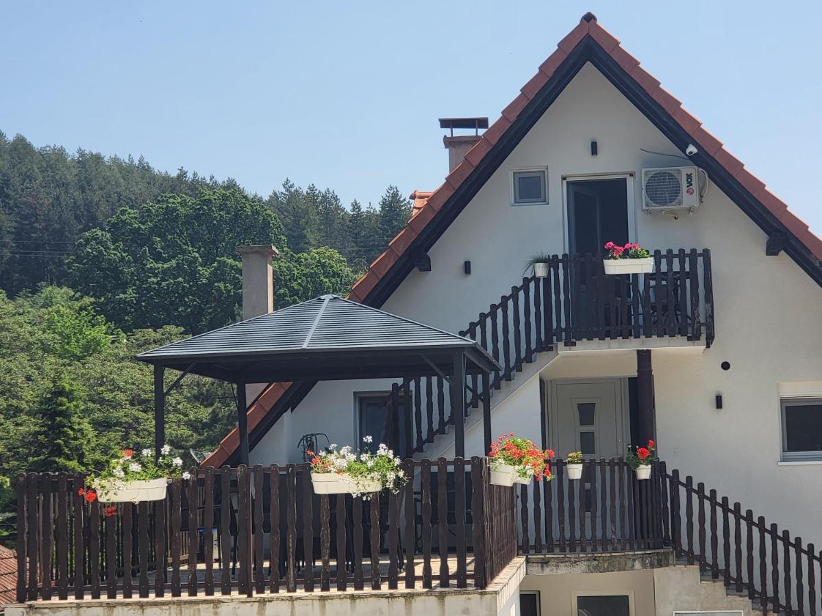 Vila Jovana Vrdnik Exterior photo