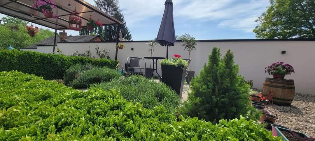 Vila Jovana Vrdnik Exterior photo